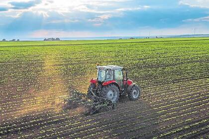 El agro fue casi el único sector que creció en junio, con un alza del 43,7% interanual