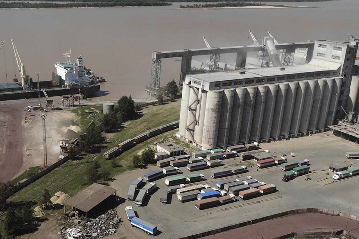 El agro necesita políticas claras