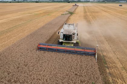 El agro sigue siendo uno de los sectores ganadores