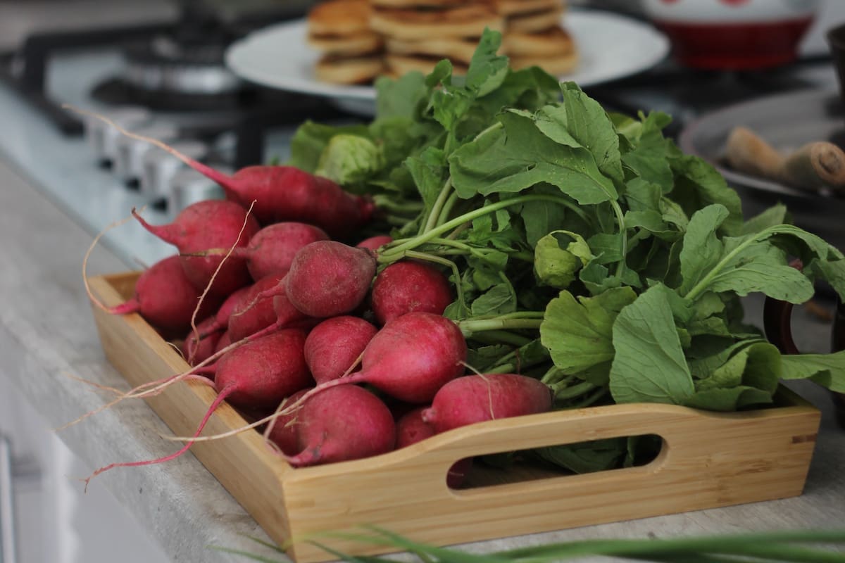 El agua de rábano guarda beneficios óptimos para el sistema digestivo