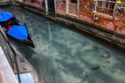 El agua de Venecia, más limpia por la ausencia de tránsito. Fuente: AFP/ANDREA PATTARO