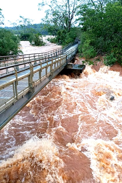 El agua del río Iguazú, al borde de las pasarelas