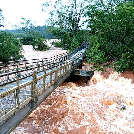 El agua del río Iguazú, al borde de las pasarelas