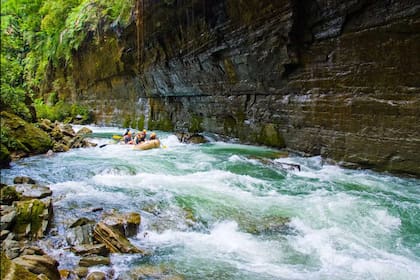 El agua Fiyi, pureza desde la selva tropical
