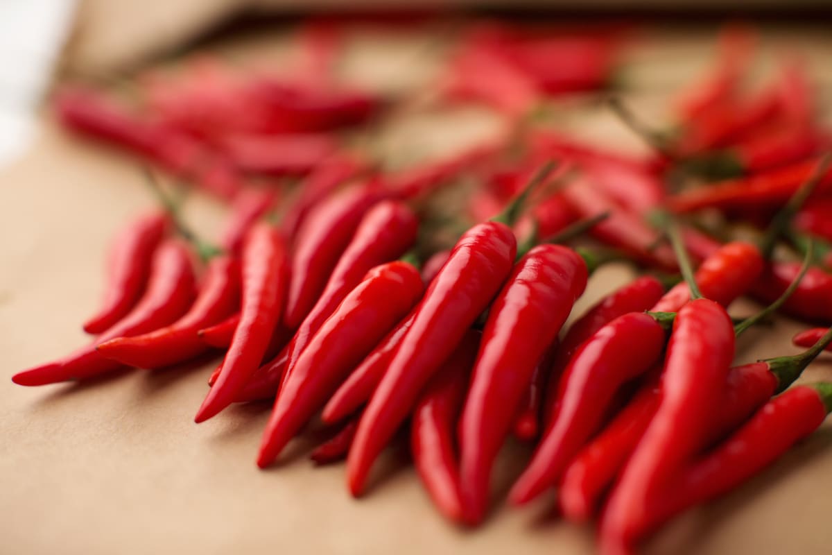 El agua no "cura" el picor y hay maneras de alivianar la intensidad de los más potentes