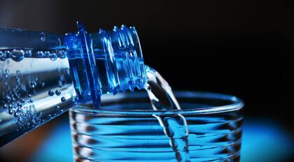El agua regula la temperatura y lubrica las articulaciones