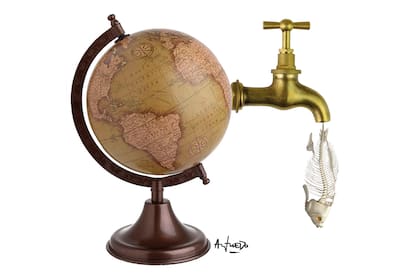 El agua y la supervivencia