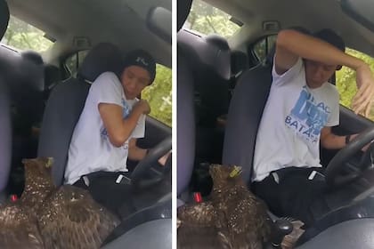 El águila ingresó al vehículo de un youtuber mientras grababa un video en Filipinas