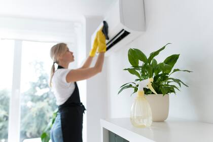 El aire acondicionado crea un ambiente artificial porque tiene la capacidad de deshumidificar el aire, lo que reduce la humedad necesaria para que las plantas prosperen