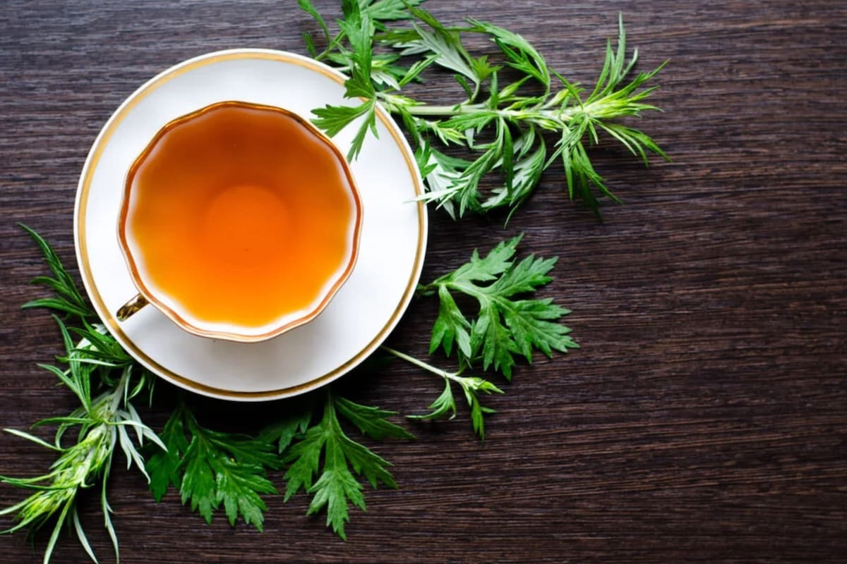 El ajenjo se puede consumir mediante una infusión natural con agua