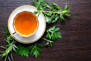 El ajenjo se puede consumir mediante una infusión natural con agua
