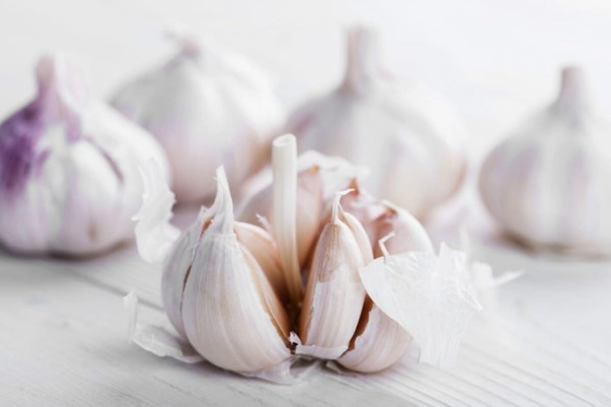 El ajo es una de las verduras más utilizadas para condimentar y dar sabor a los platos