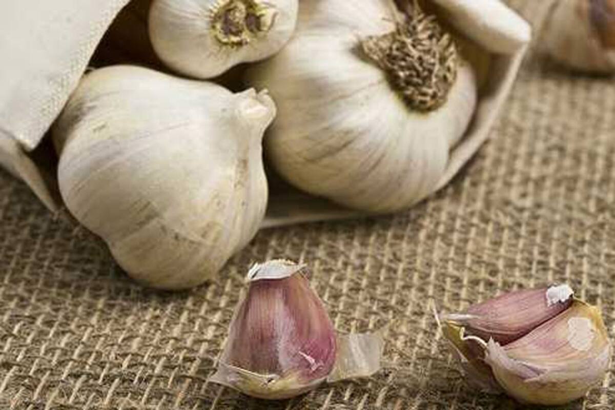 El ajo tiene propiedades que permiten combatir infecciones y virus