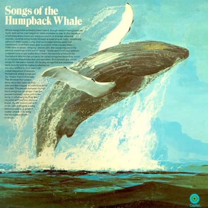 El álbum Canciones de la ballena jorobada o Songs of The Humpback Whale dinamizó el incipiente movimiento Save The Whale