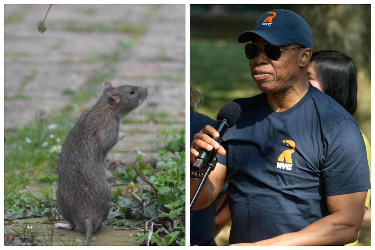 El alcalde de Nueva York, Eric Adams, anunció la reducción de avistamientos de ratas en un barrio tras implementar una revolucionaria estrategia