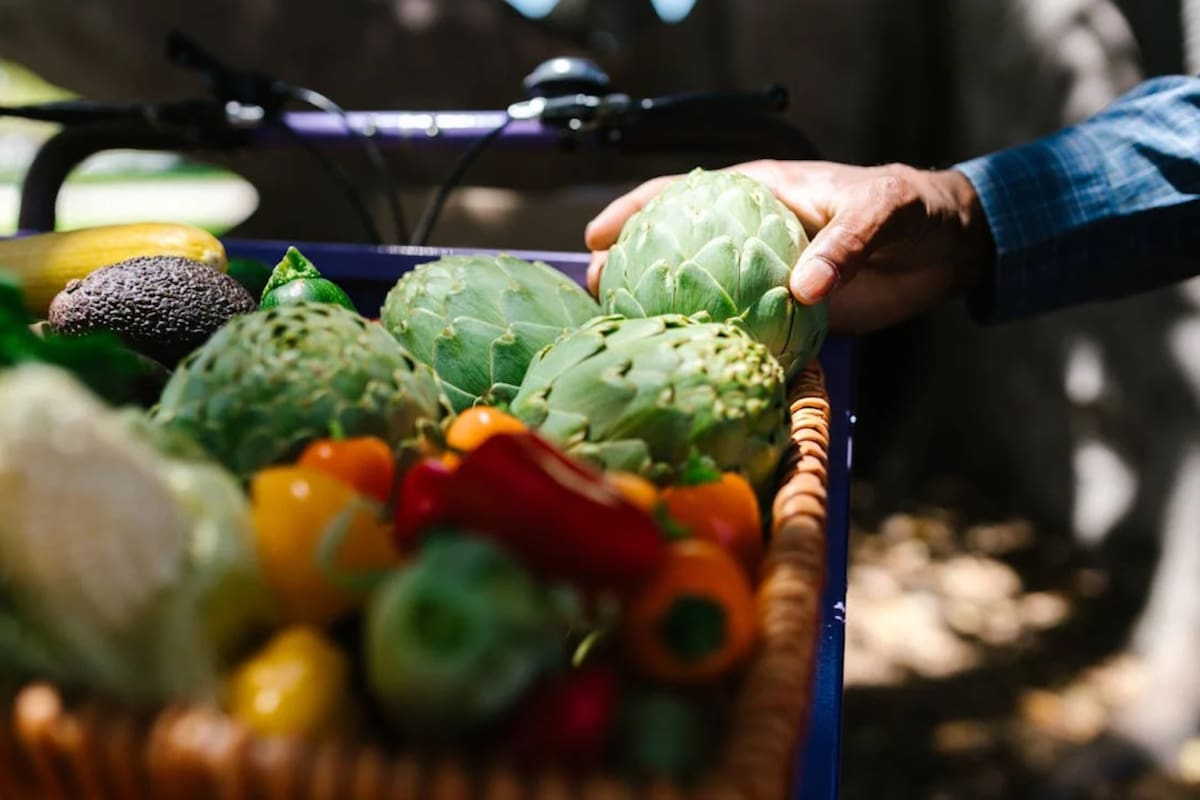 El alcaucil o alcachofa es conocido por la cantidad de beneficios y nutrientes que aporta a nuestro organismo (Foto Pexels)