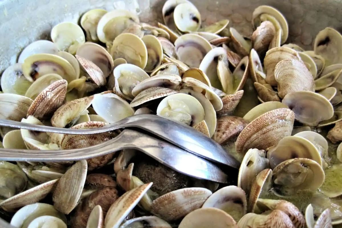 El alimento con más vitamina B12