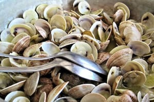 El alimento con más vitamina B12