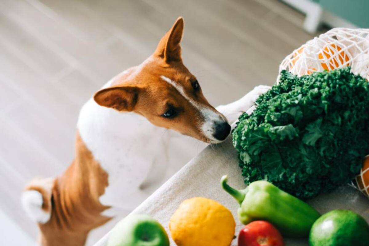 El alimento que ayuda a prevenir las piedras en el rinón es el limón que además de su papel en la inmunidad, la vitamina C que contiene es esencial para la producción de colágeno, promoviendo una piel más elástica y juvenil