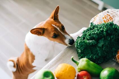 El alimento que ayuda a prevenir las piedras en el rinón es el limón que además de su papel en la inmunidad, la vitamina C que contiene es esencial para la producción de colágeno, promoviendo una piel más elástica y juvenil