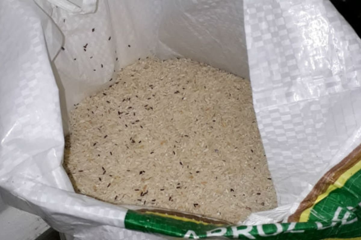 El alimento se entregó en la localidad de Selva, donde los beneficiarios descubrieron la bolsa repleta de estos insectos