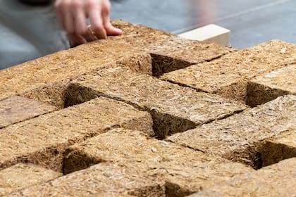 El almacenamiento de carbono biogénico de plantas de rápido crecimiento en materiales de construcción es una estrategia efectiva para retrasar las emisiones de carbono.