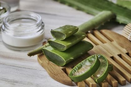 El aloe vera es ideal para hidratar, calmar irritaciones y promover la regeneración de la piel