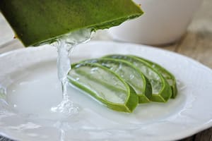El aloe vera puede ayudar a reducir las ojeras al mejorar la hidratación de la piel y disminuir la inflamación