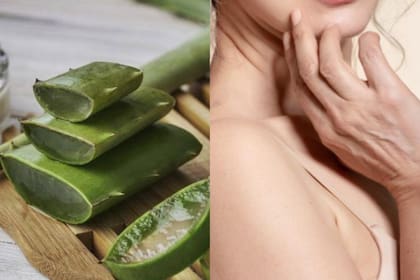 El aloe vera puede resultar esencial para tu piel