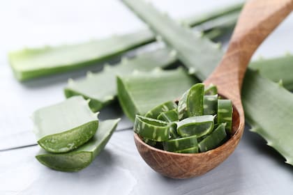 El aloe vera tiene múltiples propiedades que pueden aprovecharse