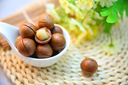 El alto contenido en fibra de la nuez de macadamia lo hace especialmente útil para la pérdida de peso