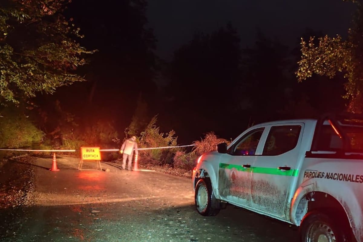 El aluvión arrasó con parte de la ruta 71 en el parque Los Alerces.