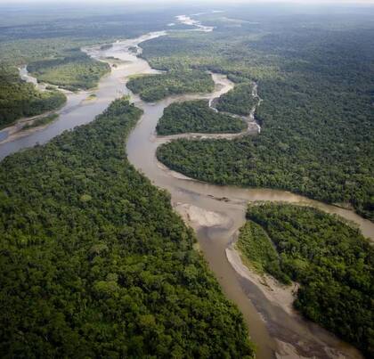 El Amazonas es uno de los destinos más elegidos por los turistas