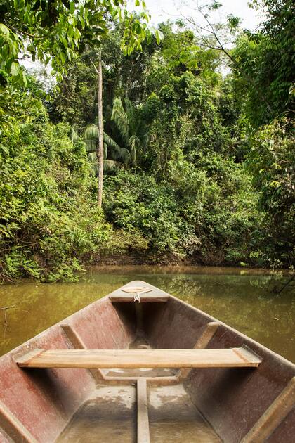 El Amazonas tiene rincones increíbles.