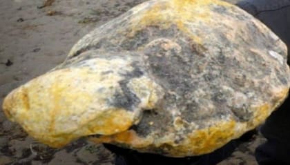 El ámbar gris que encontraron los pescadores yemeníes.