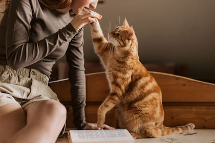 El amor hacia un animal también habla de lo mejor que hay en nosotros: la capacidad de cuidar.