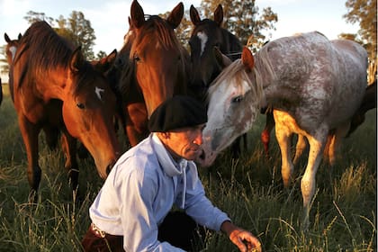 El amor recíproco de Polito Ulloa por los animales