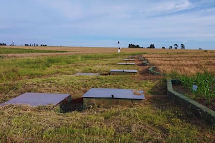 El análisis de 17 campañas agrícolas demostró que la rotación maíz-trigo/soja reduce en un 40% el coeficiente de escorrentía