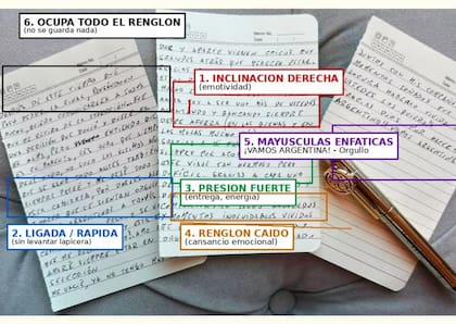 El análisis de Nélida Guzmán, que luego desarrolló en palabras