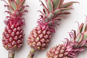 El ananá o piña rosada es una fruta genéticamente modificada que solo crece en la ciudad de Buenos Aires, provincia de Puntarenas, Costa Rica