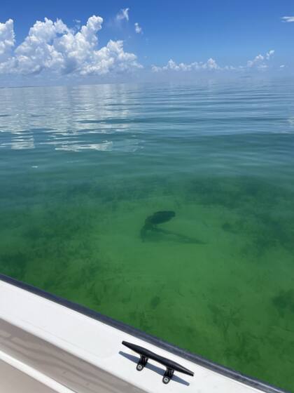El ancla que pertenece al St. Lucie, una embarcación que naufragó en 1906 en las aguas de Florida