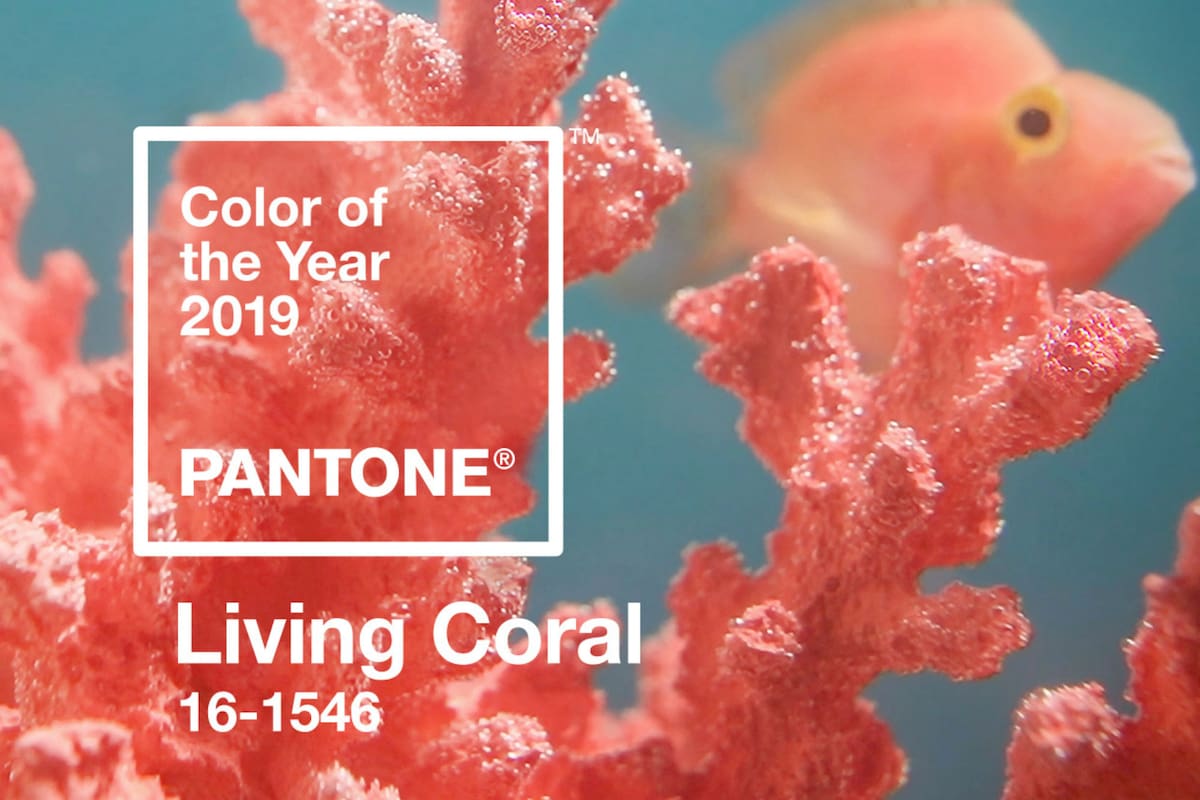 El "coral vivo" es el color del año según Pantone