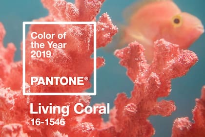 "Coral vivo", el tono que va a imponerse en moda y deco.