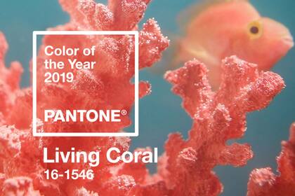 El "coral vivo" es el color del año según Pantone
