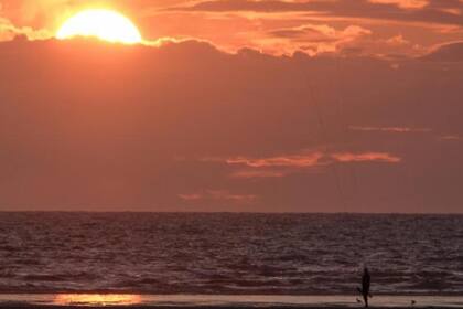 El animal causó conmoción en la comunidad de Ainsdale (Inglaterra) y algunos señalaron sin muchos fundamentos que se trataba de un extraterrestre