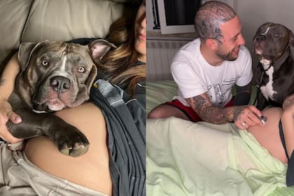 El animal es viral en las redes sociales por su inesperada reacción (Foto: Instagram: @massi_e_mino)