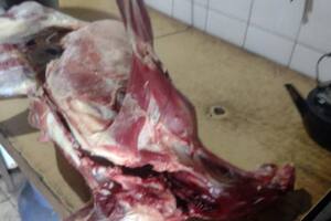 El animal listo para el asado