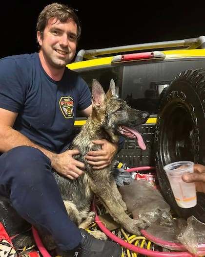 El animal se encontraba en buenas condiciones de salud cuando fue liberado
