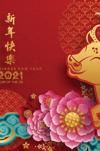 El año del búfalo (o del buey) según el calendario chino