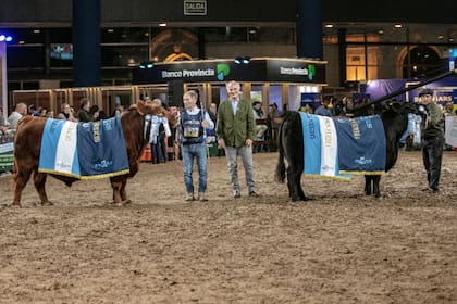 El año pasado, los dos animales premiados de la raza Angus en la 80° Expo Angus de Otoño Indoor, con el presidente de la entidad, Alfonso Bustillo